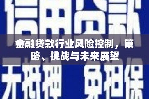 启东金融贷款行业风险控制，策略、挑战与未来展望