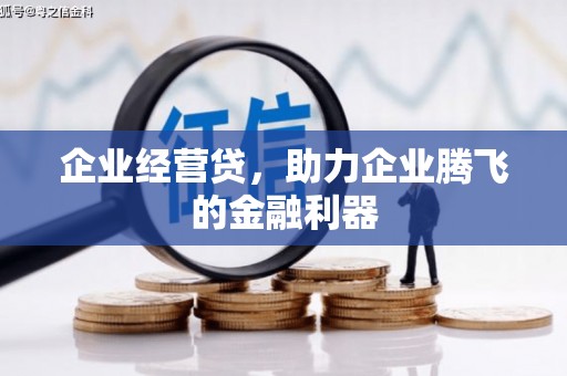黔西南企业经营贷，助力企业腾飞的金融利器