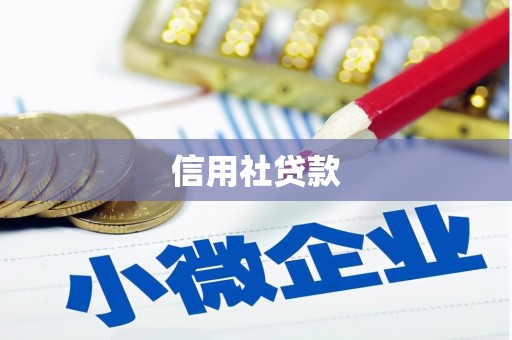 大社信用社贷款
