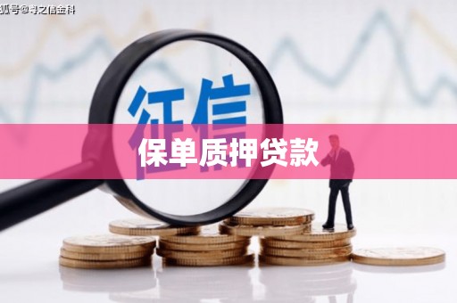 娄星保单质押贷款