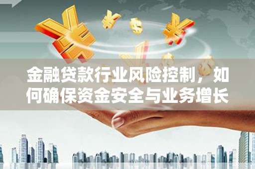 东宝金融贷款行业风险控制，如何确保资金安全与业务增长